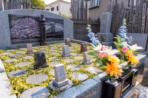 樹木葬　蛍～ほたる～　近影