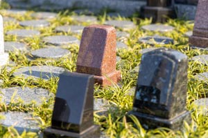 樹木葬　石碑　接写